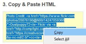 Copy paste the HTML code